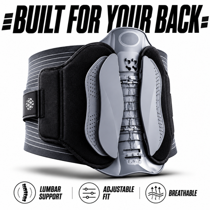 FITWRLD Pro Back Support